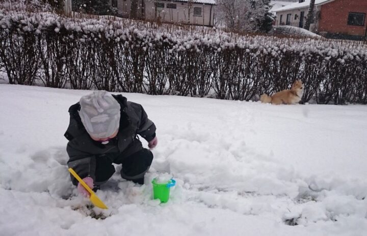 snölek (16)