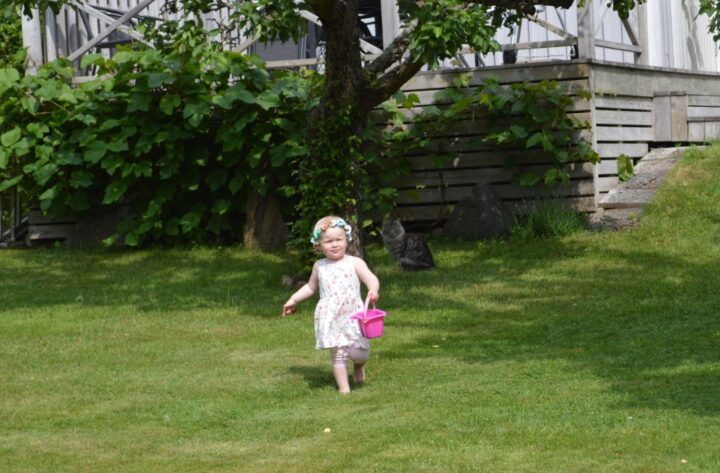 midsommar2016 (103)