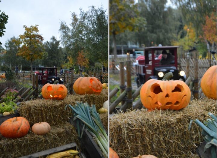 Halloween på Liseberg 2016