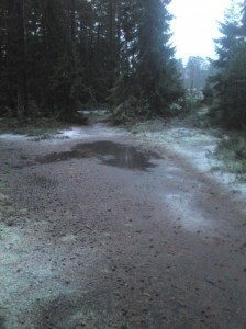 på väg hem från dagis.