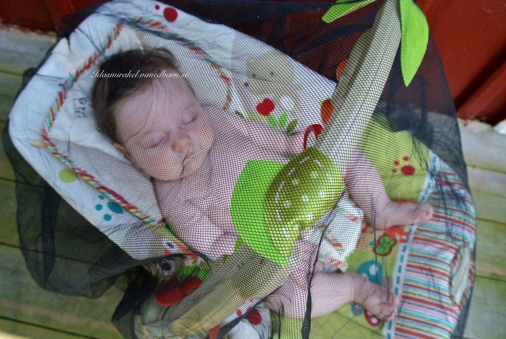 20130620-233033.jpg